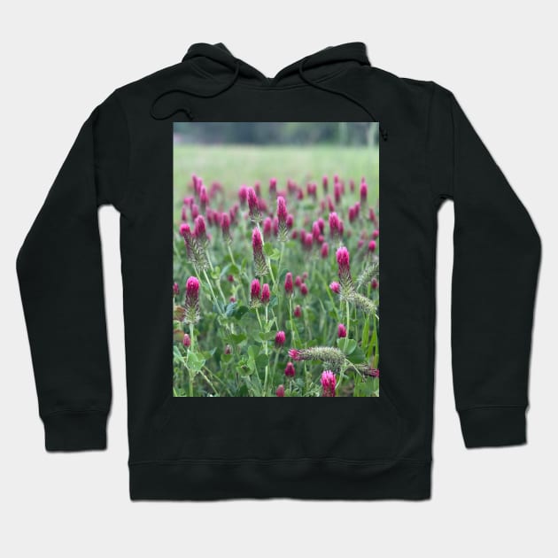 Wildflowers Hoodie by Ckauzmann